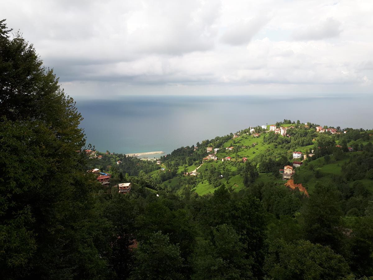Kaf Dagi Konak Hotel Rize Eksteriør billede